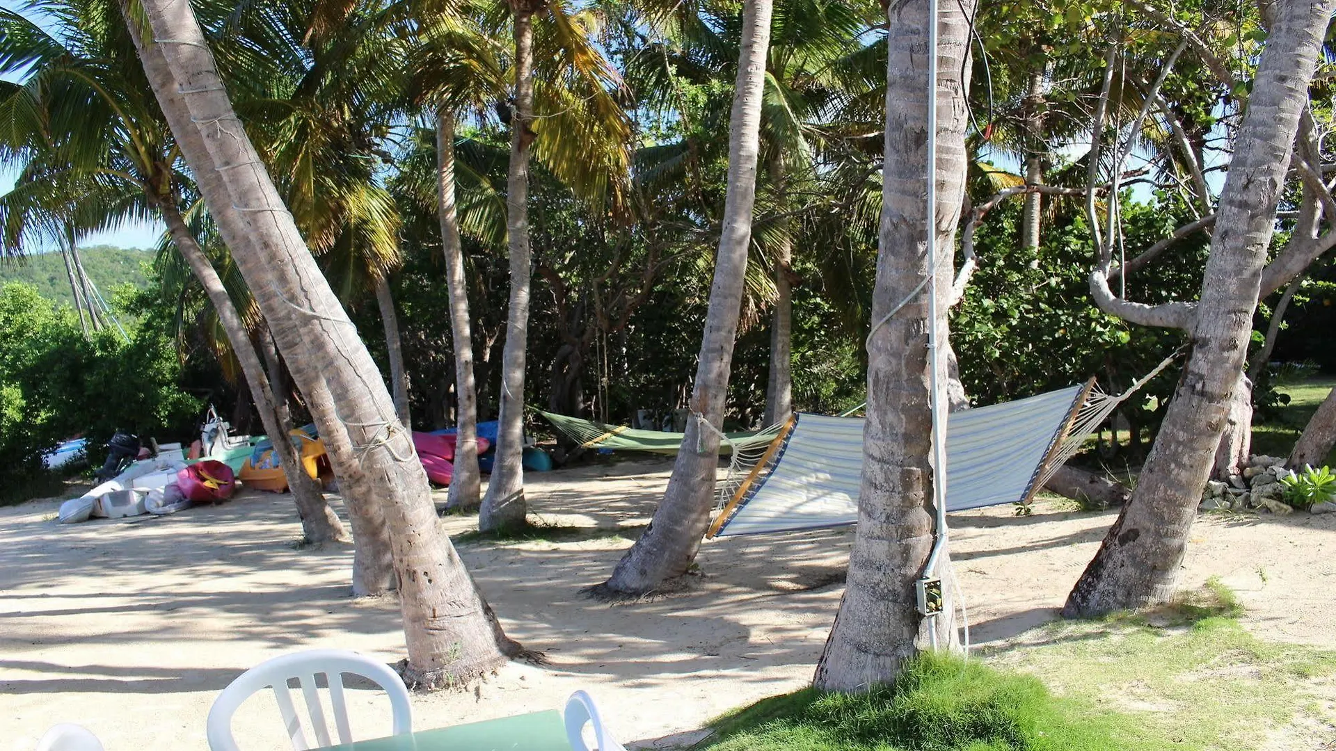 Hotel Beef Island Guest House